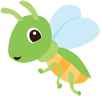 fly
